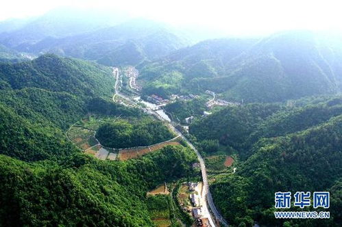 七、经济收益与社会价值并存