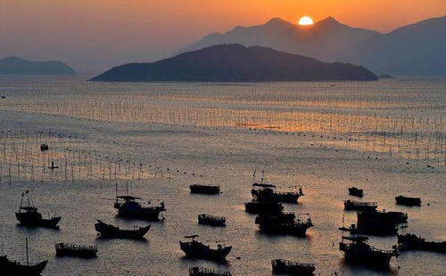 六、不靠谱但热情满满的大杂烩（随便放）