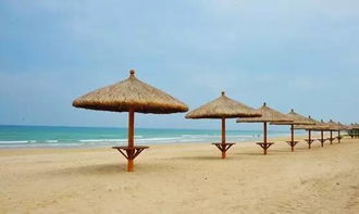 传统攻略都是狗屁！听我的准没错！