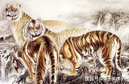 1974年属虎女性2026年每月运势具体如何？