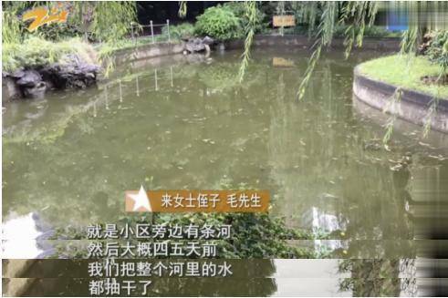 二、 登顶——古韵与现代化噪声交织的奇妙瞬间