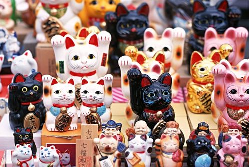五行猫咪属什么命格？灵隐招财猫是什么意思？