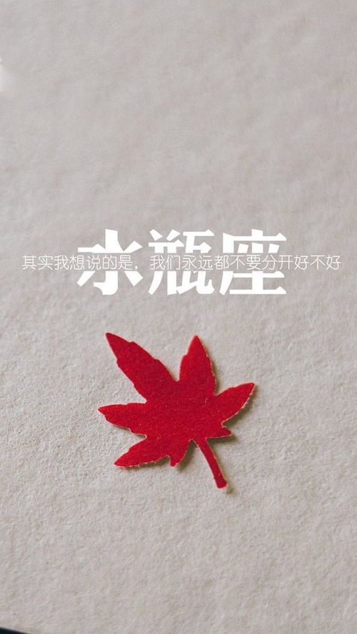 水瓶座：桃花炸裂，爱情来得太快就像龙卷风