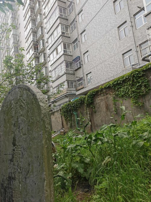 小区旁边有坟地怎么办,小区旁边有hen多坟