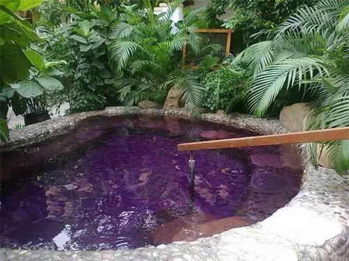 特色泡池：牛奶池、玫瑰花香池…