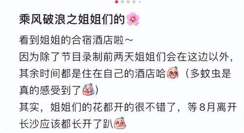 偷天换日生肖是哪个，数字几代表什么意思？