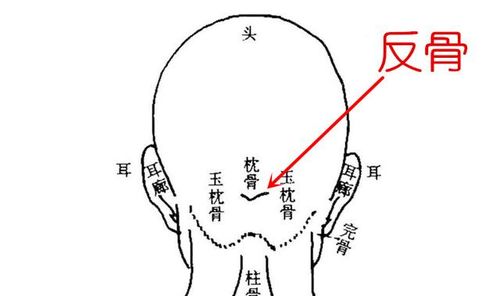 骨头算命大全：你的后脑勺值几个钱？