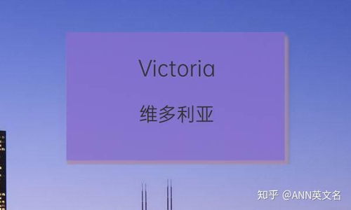 三、异域风情：神秘浪漫