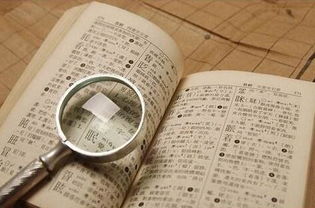 四、避坑指南：避免不良命名误区