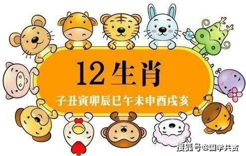 生肖蛇：敢炎热爱敢反感的挑战