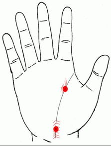 耳朵后面：男女差别咋这么大捏