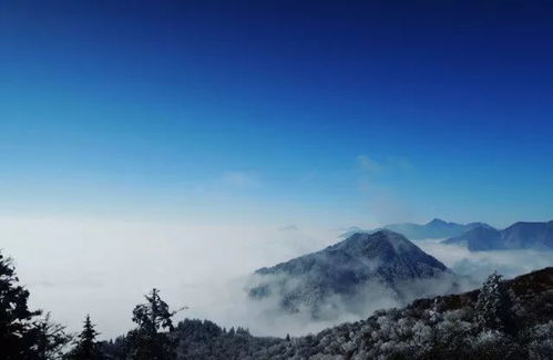 救命啊！我发现了一条神仙小路！