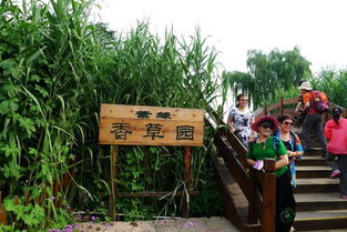 钱包大出血预警！