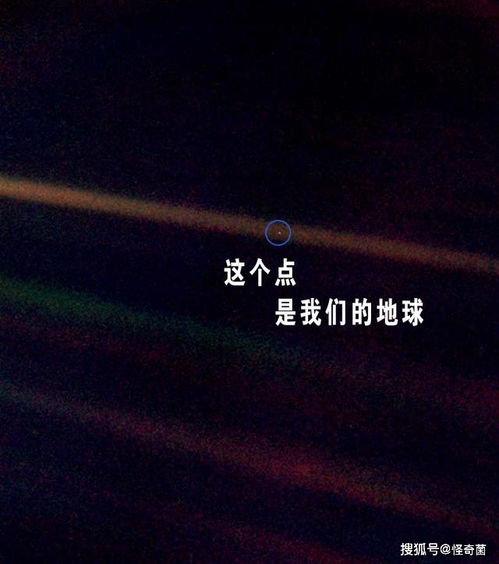 十二生肖集体摆烂指南