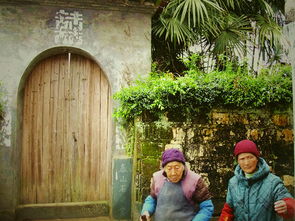 风水乱象：八卦阵中的隐形陷阱