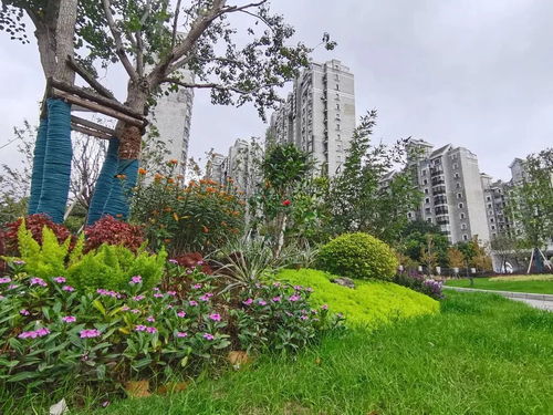 三、绿意盎然？真的吗？（我怀疑人生）