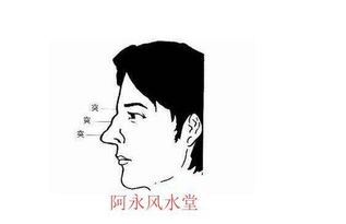 面相学结合身高论吉凶
