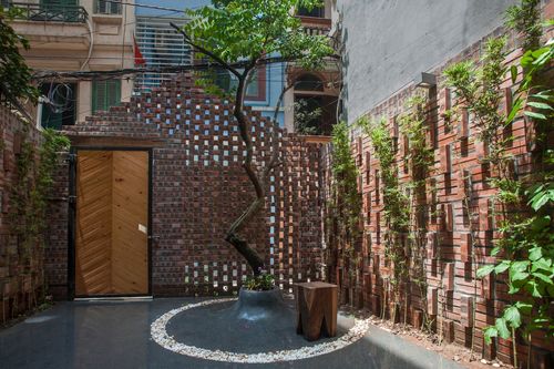 住宅周围的大树砖头布局对风水有何具体影响？