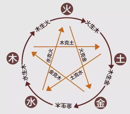 六月二十三号——木之柔柔软与土之厚沉重