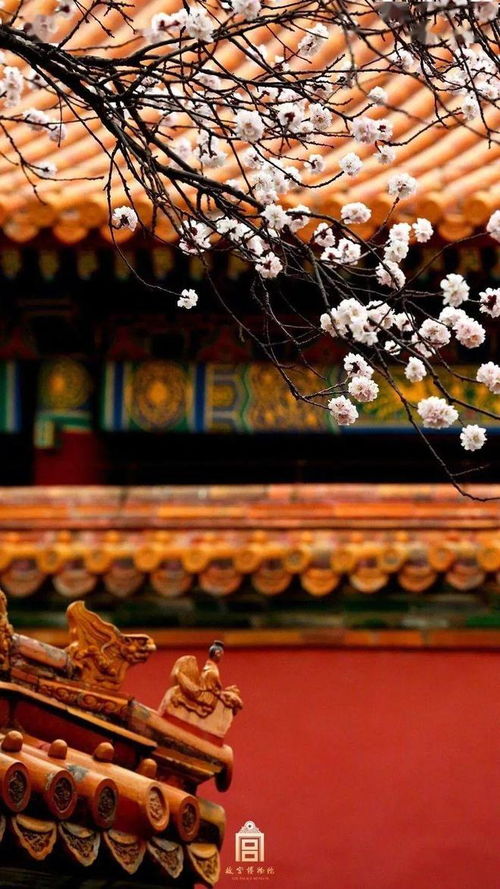珍宝馆里的眼花缭乱