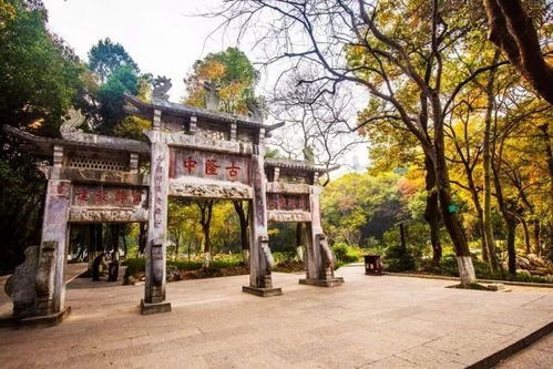 古隆中的“迷路经历”
