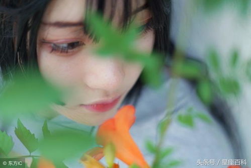 射手女 - 快乐病毒携带者