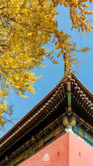 第二章：古建筑的呼吸声