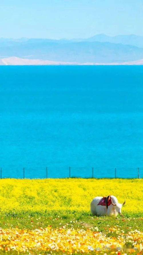 第一站：青海湖环线初体验