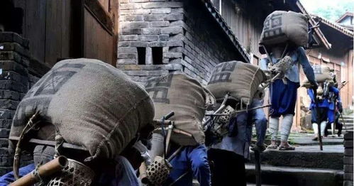 一、 阴阳八卦与十二生肖的“惊吓交叉口”