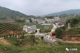 麻城夫子河景点,麻城市夫子河镇总体规划