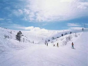 穿衣指南：如何在冰天雪地中保暖胜出
