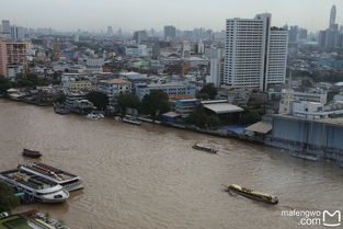 2. 自驾租车：自由探索