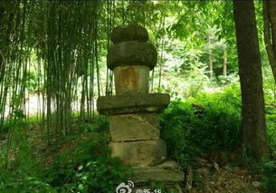 惯与“古韵”这件事儿