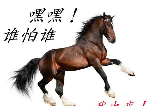 V.  传统文化解读： 马的精神与人生哲学