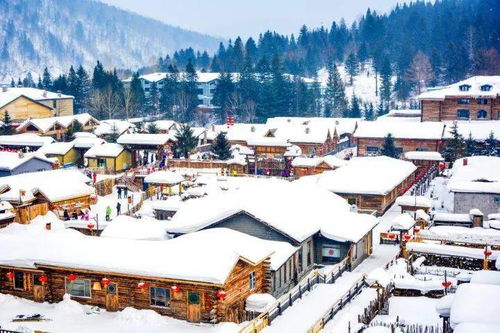 二、 滑雪场的布局：既传统方式又有点“自造”味道