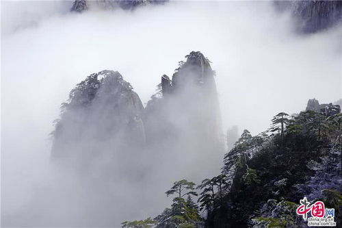 云宝宝的黄山奇遇记——一场“云”里来风里去的混沌旅程