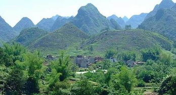 风水乌龟门什么意思,传说的乌龟风水宝地阳宅