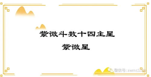 武曲星：两面派专业户