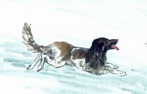 农历丙寅年：虎气腾腾