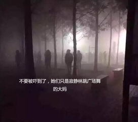 网中鸟