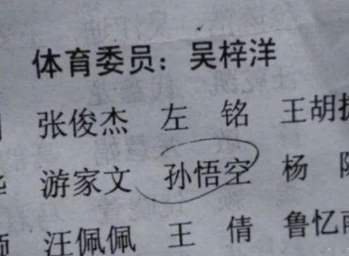 1.1 父姓+母姓=脑残拼接？