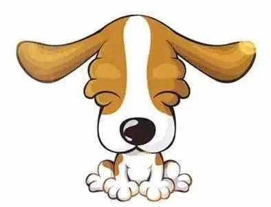 生肖运势的真实相与误区