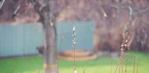 化解煞气，唯有忏悔