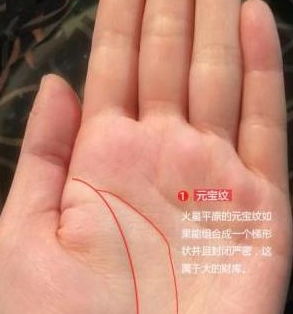 结论