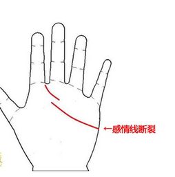 4、感情线断断续续的手相易招烂桃花——玻璃心的悲哀！
