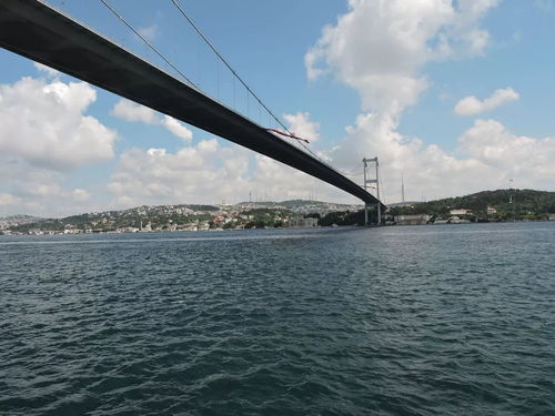 你真的敢独自夜晚前往那座传说中会说话的神秘桥梁吗？