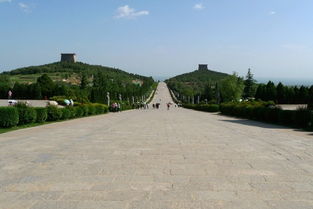 惯与那个“肉得入坟”的无动力乐园