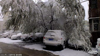 西南风来了 河南怎么就这么“暖”——别问我为什么我也不懂，只是看见风吹得人们笑得像发了光一样。