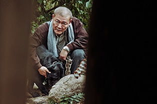 失踪后的磁场异动