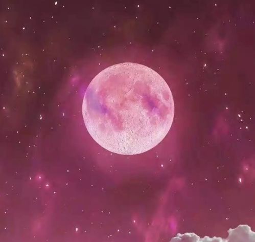 1. 仙女座（Virgo）：优雅与智慧的化身